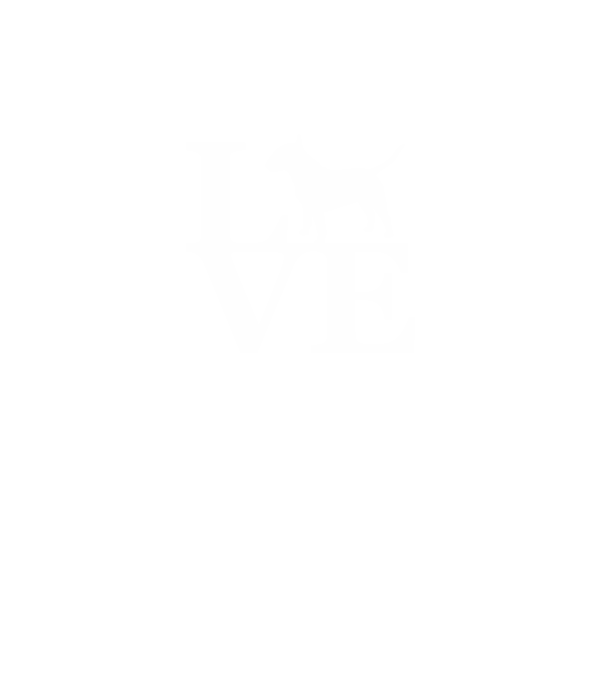 Bullterrier love minta türkiz pólón