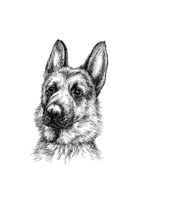 German Shepherd Face - 2 minta fekete pólón