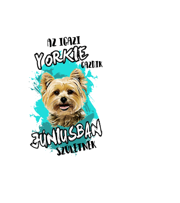 Az igazi YORKIE gazdik JÚNIUSban születnek minta világoskék pólón