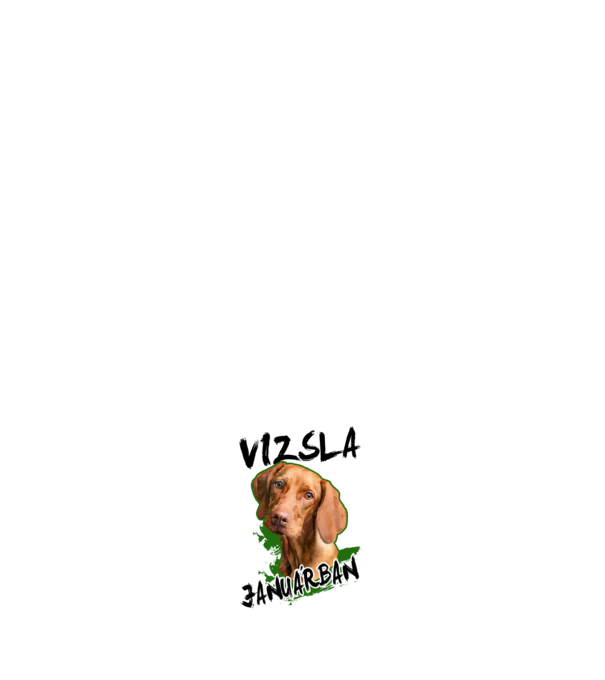 Vizsla január minta sötétkék pólón