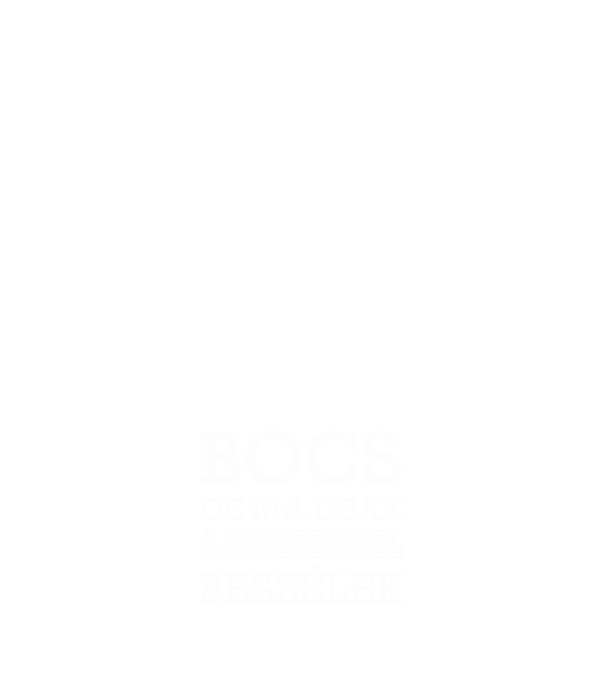 Boxeremmel beszélek minta világoskék pólón