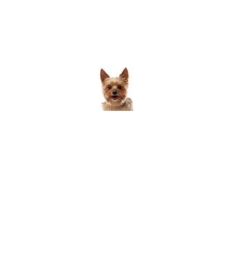 MIT NÉZEL minta fekete pólón
