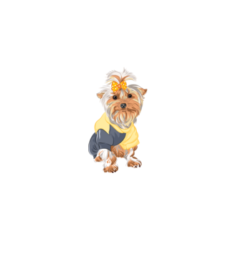 Yorkshire Terrier minta fehér pólón
