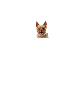 MIT NÉZEL minta fekete pólón