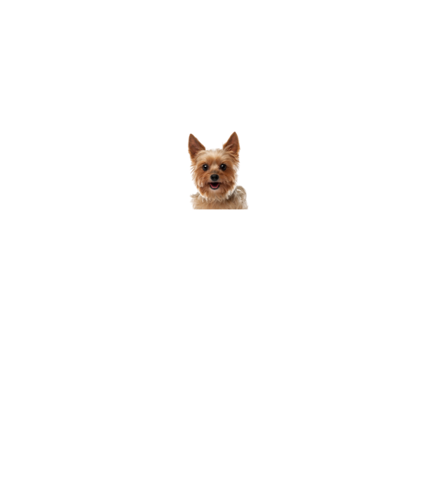 MIT NÉZEL minta sötétkék pólón