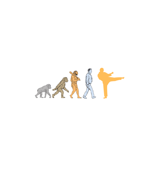 Karate evolúció minta fekete pólón
