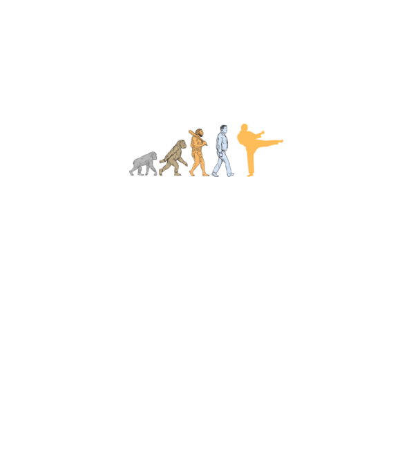 Karate evolúció minta fekete pólón