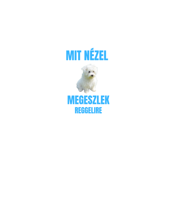 Bichon Havanese Megeszlek Reggelire minta fekete pólón
