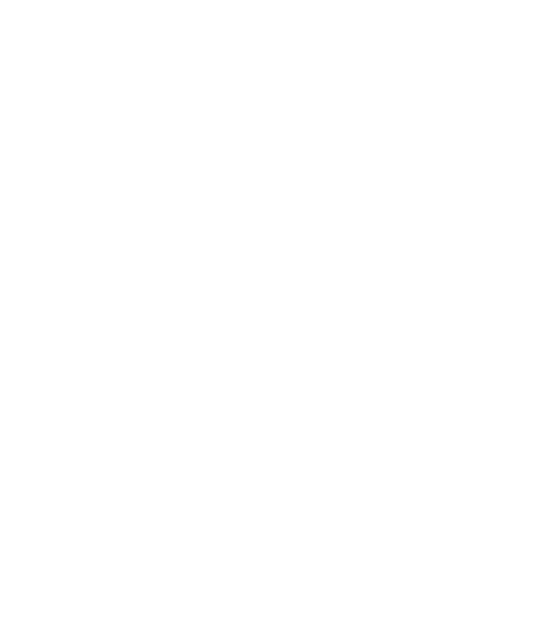 Yorkie minta fekete pólón