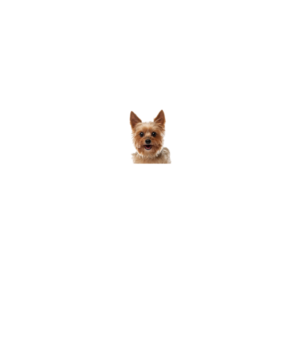 MIT NÉZEL minta fekete pólón