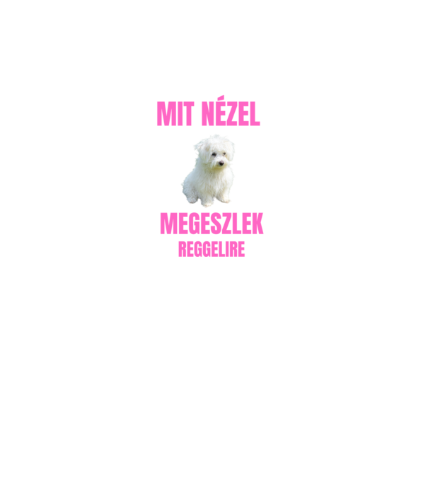 Bichon Havanese Megeszlek Reggelire minta fekete pólón