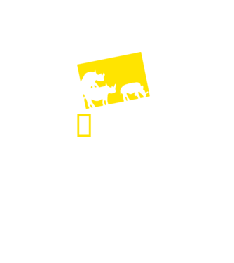 National Pornographic minta fekete pólón