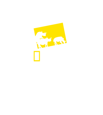 National Pornographic minta fekete pólón