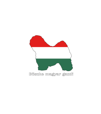 Magyar Puli minta fekete pólón