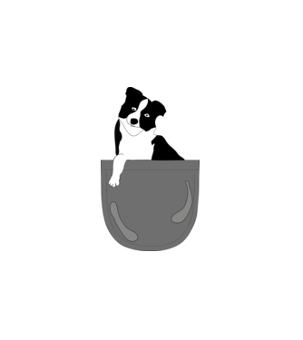 Zsebben - Border collie minta fehér pólón