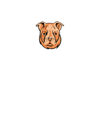 Amerikai bulldog minta fekete pólón