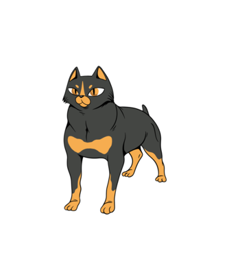 Rottweiler Cica minta fehér pólón