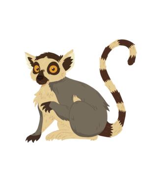Cuki lemur minta fehér pólón