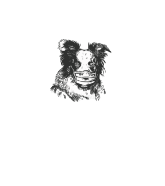 Maszkos border collie minta fehér pólón