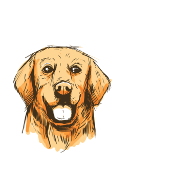 Golden retriever minta fekete pólón