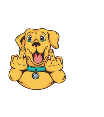 Golden Retriever bemutat minta fehér pólón