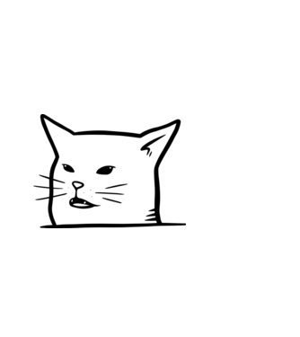 Cat Meme minta világoskék pólón