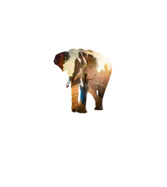Nő elefánttal minta fekete pólón