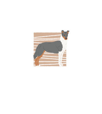 Cuki Collie minta farmerkék pólón