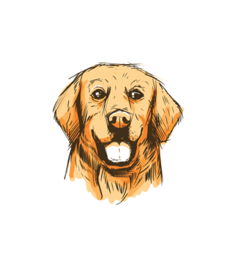 Golden retriever minta fehér pólón