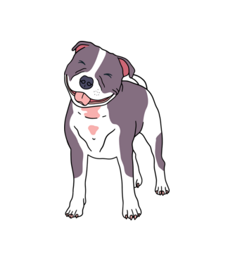 Mosolygó Staffordshire Bullterrier minta fehér pólón