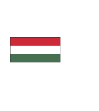 Magyarország szurkolói póló minta fekete pólón