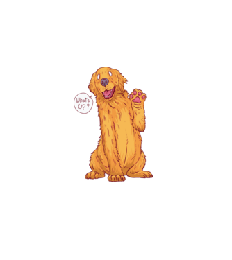 Golden retriever minta fekete pólón