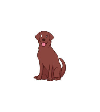 Labrador minta fehér pólón