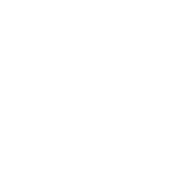 Rövidszőrű német vizsla minta fehér pólón