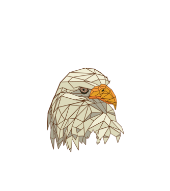 Polygonal Eagle minta fekete pólón