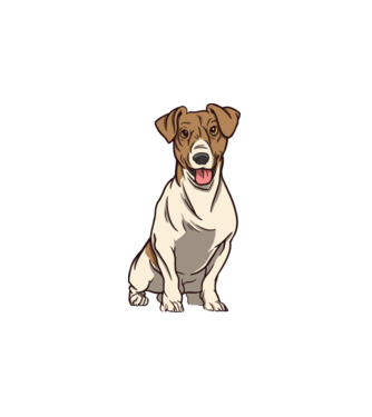 Jack Russell Terrier minta fehér pólón