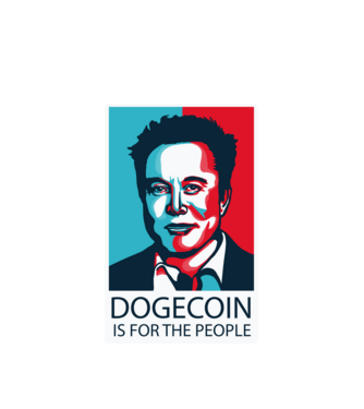 Elon Musk minta fehér pólón