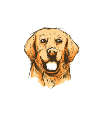 Golden retriever minta fehér pólón