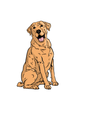 Labrador minta világoskék pólón
