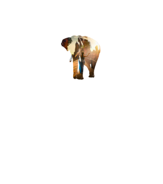 Nő elefánttal minta fekete pólón