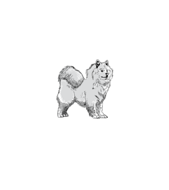 Siberian Dog minta fehér/piros pólón