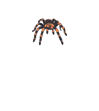 Tarantula  minta szürke pólón