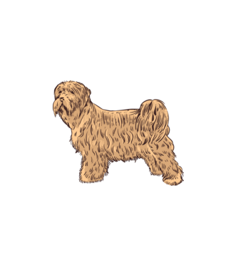 Terrier minta fehér pólón