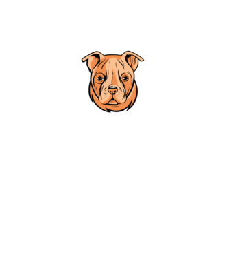 Amerikai bulldog minta türkiz pólón