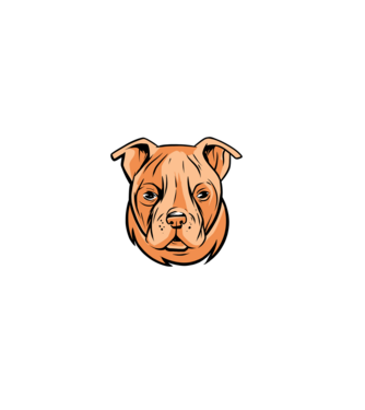 Amerikai bulldog minta fekete pólón