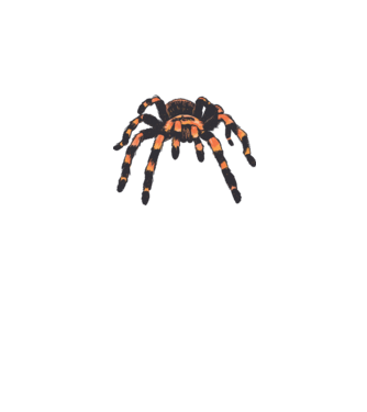 Tarantula  minta fehér pólón