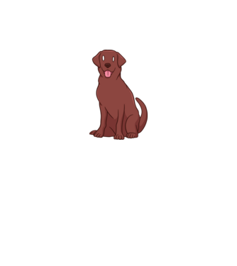 Labrador minta fehér pólón