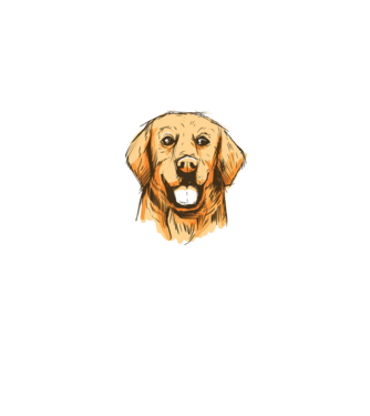 Golden retriever minta farmerkék pólón