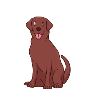 Labrador minta fehér pólón