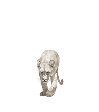 white lion minta fekete pólón